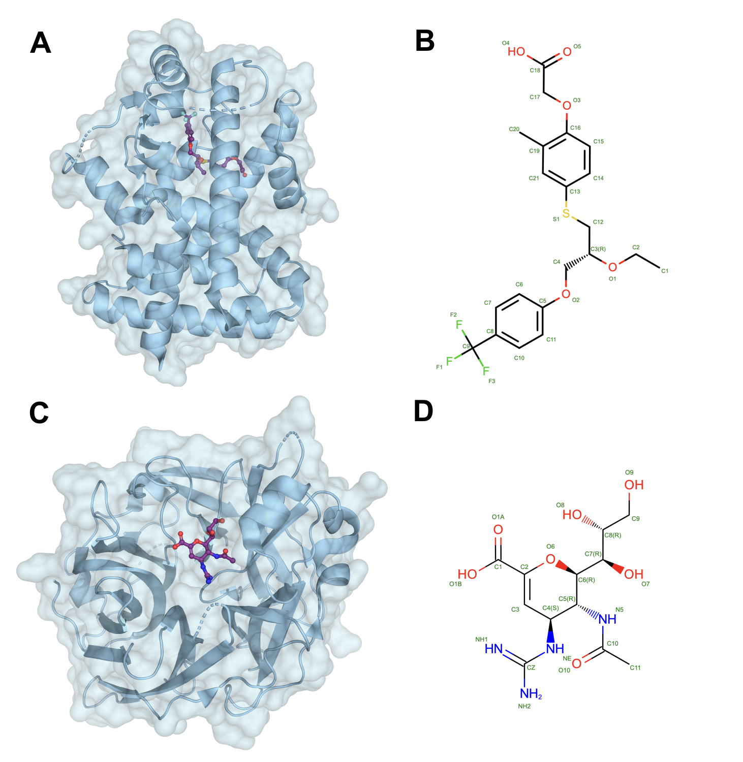 Stable simulations do not guarantee functional engagement: a case study of off-target prediction for Seladelpar and Zanamivir
