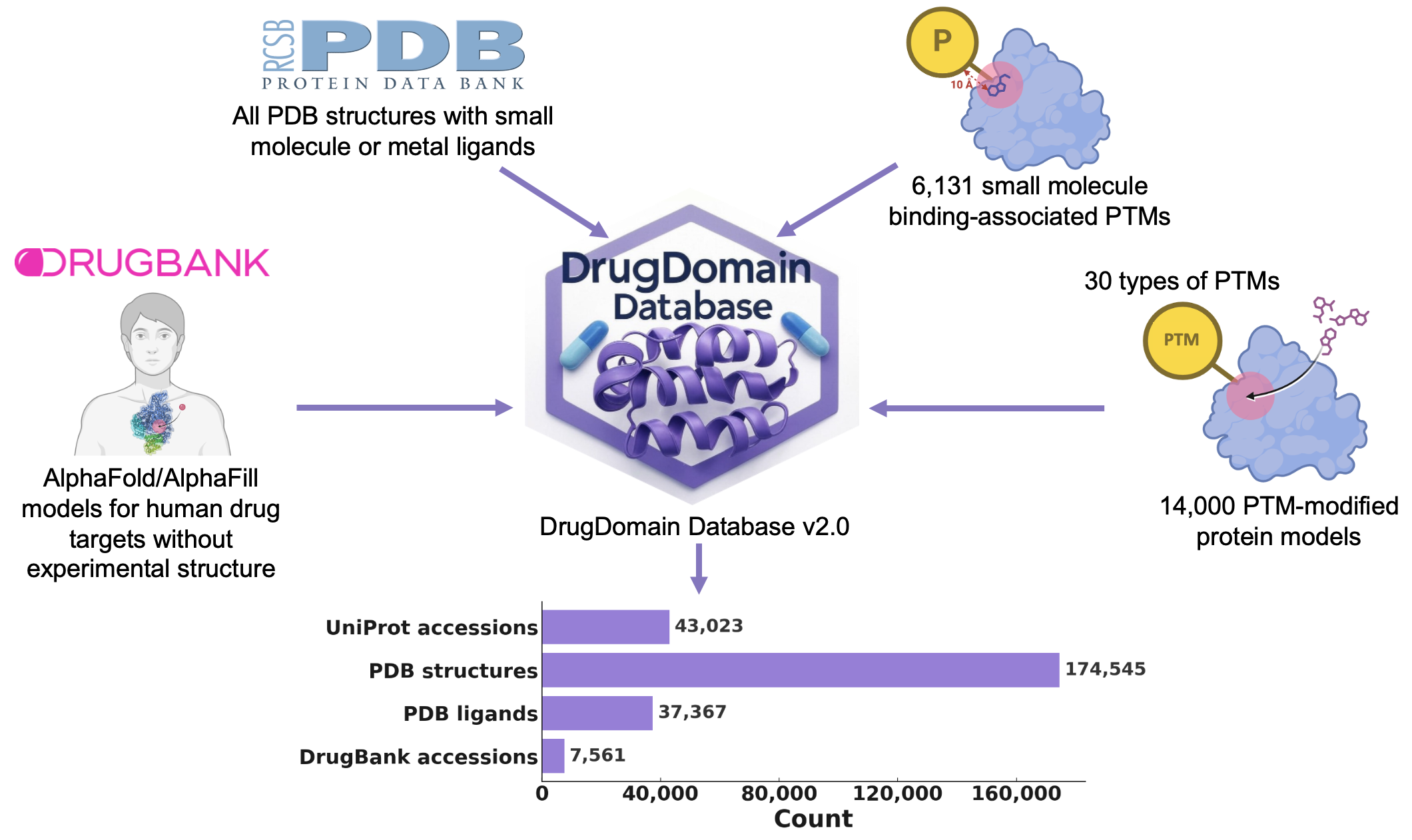 DrugDomain 2.0: Comprehensive database of protein domains-ligands drugs interactions across the whole Protein Data Bank